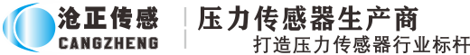 深圳沧正传感仪器有限公司