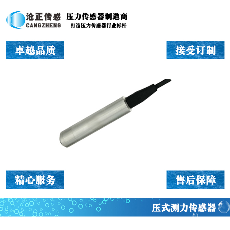 深圳沧正一体式投入式液位传感器CAZP-105 深圳沧正一体式投入式液位传感器CAZP-105