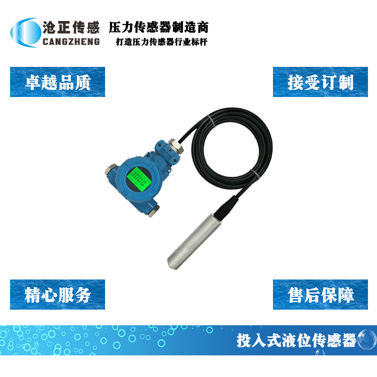 深圳沧正分体式投入式液位传感器CAZP-105A 深圳沧正分体式投入式液位传感器CAZP-105A